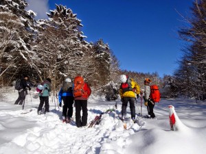 旧和田峠スキー場入り口からスタート